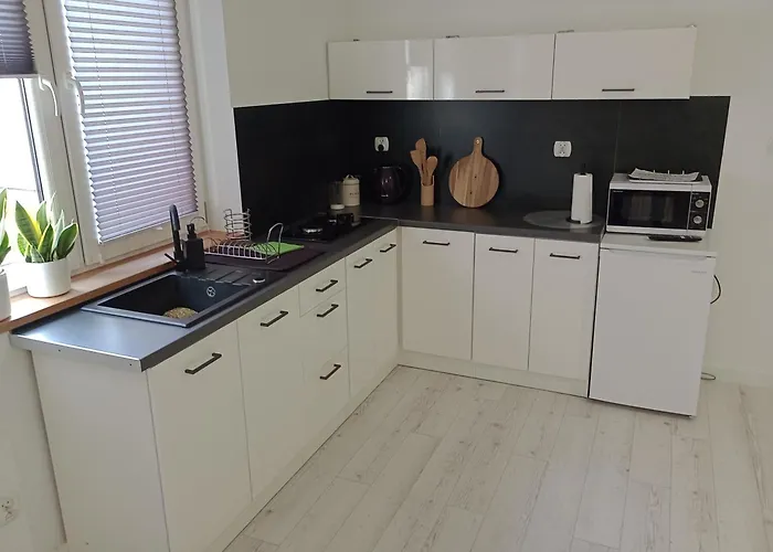 アパート Skalny *